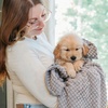 image:imagePuppy Love Gentle Bath amp Grooming Set by Veterinary Formula amp Tweezerman  Tearless Puppy Shampoo with 2in1 Bath Brush amp Large Slicker Brush  Complete Bath Kit for Medium amp Large Dogs amp PuppiesBundle