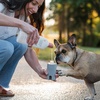 image:imageSoothe amp Smooth Dog Bath Set by Veterinary Formula amp Tweezerman 3PieceSoothe  Smooth Set