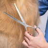 image:imageTweezerman 7 Pet Grooming ShearsSafety Round Tips for Dogs amp Cats9 Shears