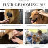 image:imageTweezerman 7 Pet Grooming ShearsSafety Round Tips for Dogs amp CatsScissors