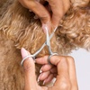 image:imageTweezerman 7 Pet Grooming ShearsSafety Round Tips for Dogs amp CatsScissors