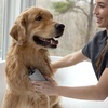image:imageTweezerman Cat amp Dog Bath Brush  Dispensing Conditioner or Shampoo Brush