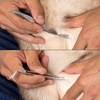 image:imageTweezerman Pet Dog amp Cat Tick Remover Tweezer Kit with Case