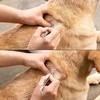 image:imageTweezerman Pet Dog amp Cat Tick Remover Tweezer Kit with Case