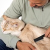 image:imageTweezerman Pet Flea Removal Comb for Cats amp Dogs