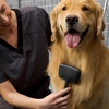image:imageTweezerman Slicker Brush for PetsGrooming Brush with Coated BristlesLarge