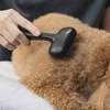 image:imageTweezerman Slicker Brush for PetsGrooming Brush with Coated BristlesSmall