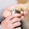 image:imageTweezerman Small Nail Clippers for Pets  Manual Professional Nail TrimmerLarge