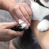 image:imageTweezerman Small Nail Clippers for Pets  Manual Professional Nail TrimmerSmall